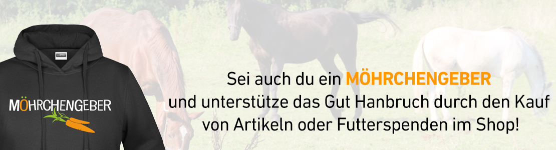 Gut Hanbruch