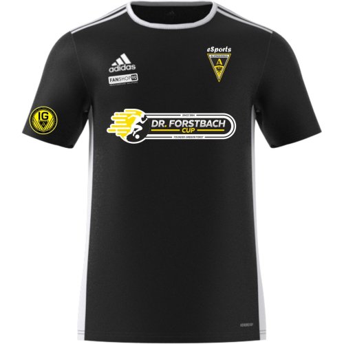 Artikelbild des Artikels “Alemannia Aachen eSports Adidas F1 Trikot Saison 20/21 schwarz S-3XL 3XL | ohne Rückendruck“