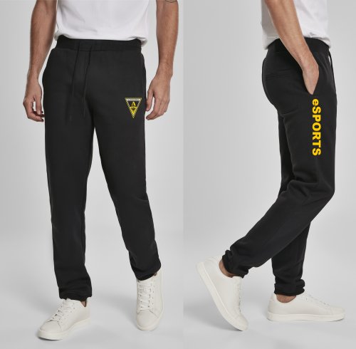 Artikelbild des Artikels “Alemannia Aachen eSports Sweatpant lang Gr. S - XXL XL | schwarz“