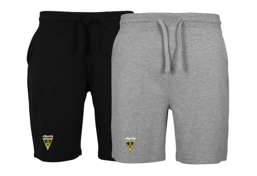 Artikelbild des Artikels “Alemannia Aachen eSports Sweatpant kurz Gr. S - XXL “