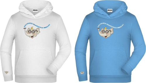 Artikelbild des Artikels “Diesterweg-Grundschule Prenzlau Hoodie “