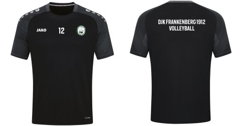 Artikelbild des Artikels “DJK Frankenberg JAKO Trainingsshirt 