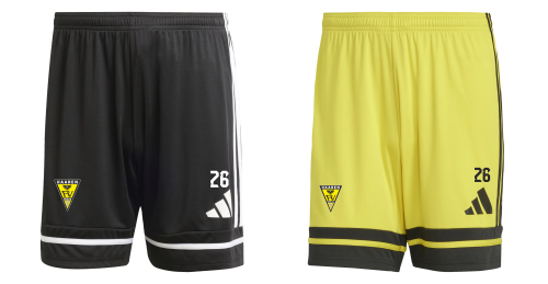 Artikelbild des Artikels “DJK FV Haaren ADIDAS Shorts “