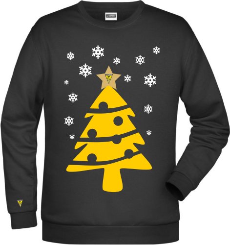 Artikelbild des Artikels “DJK FV Haaren HERREN Sweater 