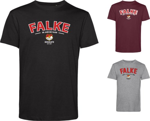 Artikelbild des Artikels “SV Falke Bergrath HERREN T-Shirt 