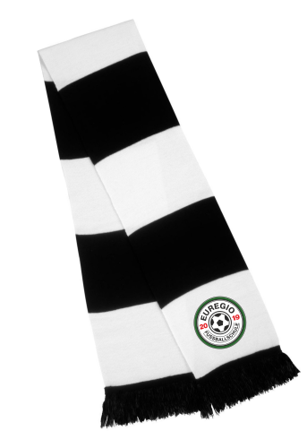 Artikelbild des Artikels “Euregio Fussballschule Schal 