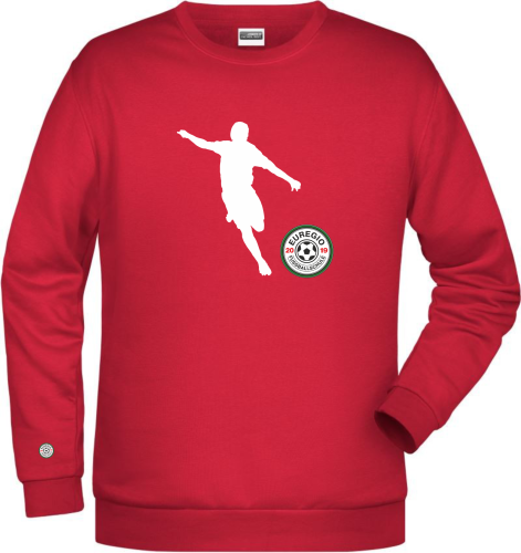 Artikelbild des Artikels “Euregio Fussballschule Sweater 