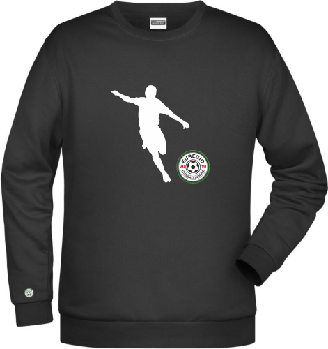 Artikelbild des Artikels “Euregio Fussballschule Sweater 