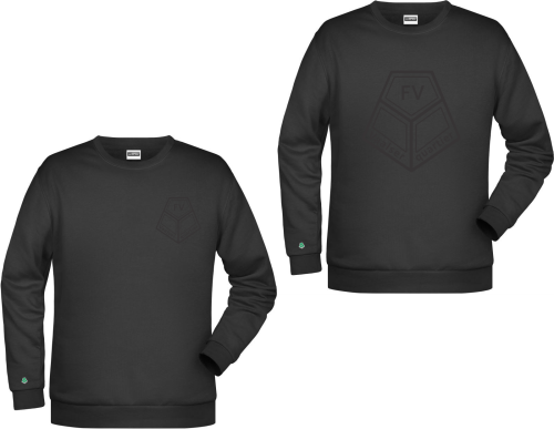 Artikelbild des Artikels “FVV HERREN Sweater 