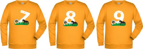 Artikelbild des Artikels “R.V. Gut Hanbruch KINDER Sweater 