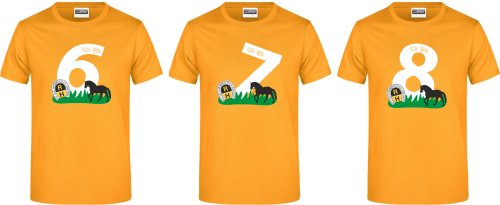 Artikelbild des Artikels “R.V. Gut Hanbruch KINDER T-Shirt 