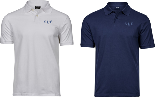 Artikelbild des Artikels “SV Eußenheim Polo “