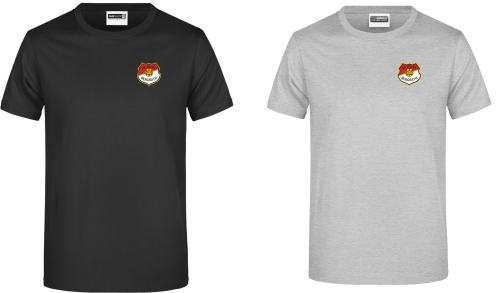 Artikelbild des Artikels “SV Falke Bergrath Logo LINE T-Shirt “