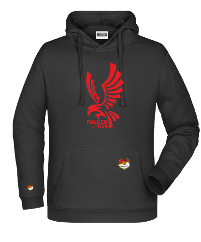 Artikelbild des Artikels “SV Falke Bergrath ICON LINE Hoodie “