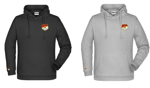 Artikelbild des Artikels “SV Falke Bergrath LOGO LINE Hoodie “