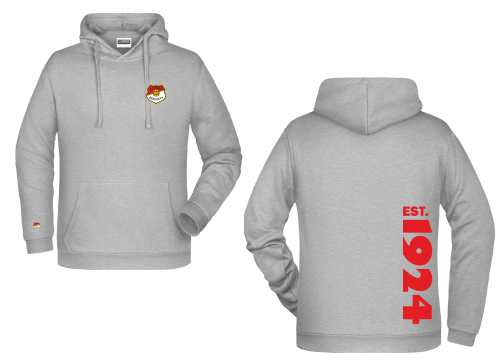 Artikelbild des Artikels “SV Falke Bergrath HERREN Hoodie 