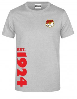 SV Falke Bergrath HERREN T-Shirt "EST."  heather grey Gr. 116 - 5XL 