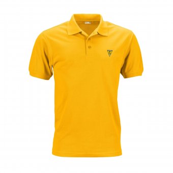DJK FV Haaren Poloshirt Pique-Polo "Classic" gelb mit Wappen gelb | L
