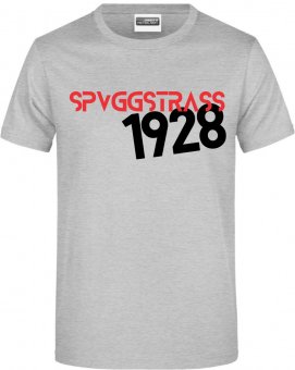 Spvgg Straß T-Shirt "SPVGG" heather grey Gr. 116 - 5XL 