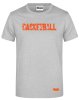  Artikelbild 3 des Artikels “SG HERREN T-Shirt 