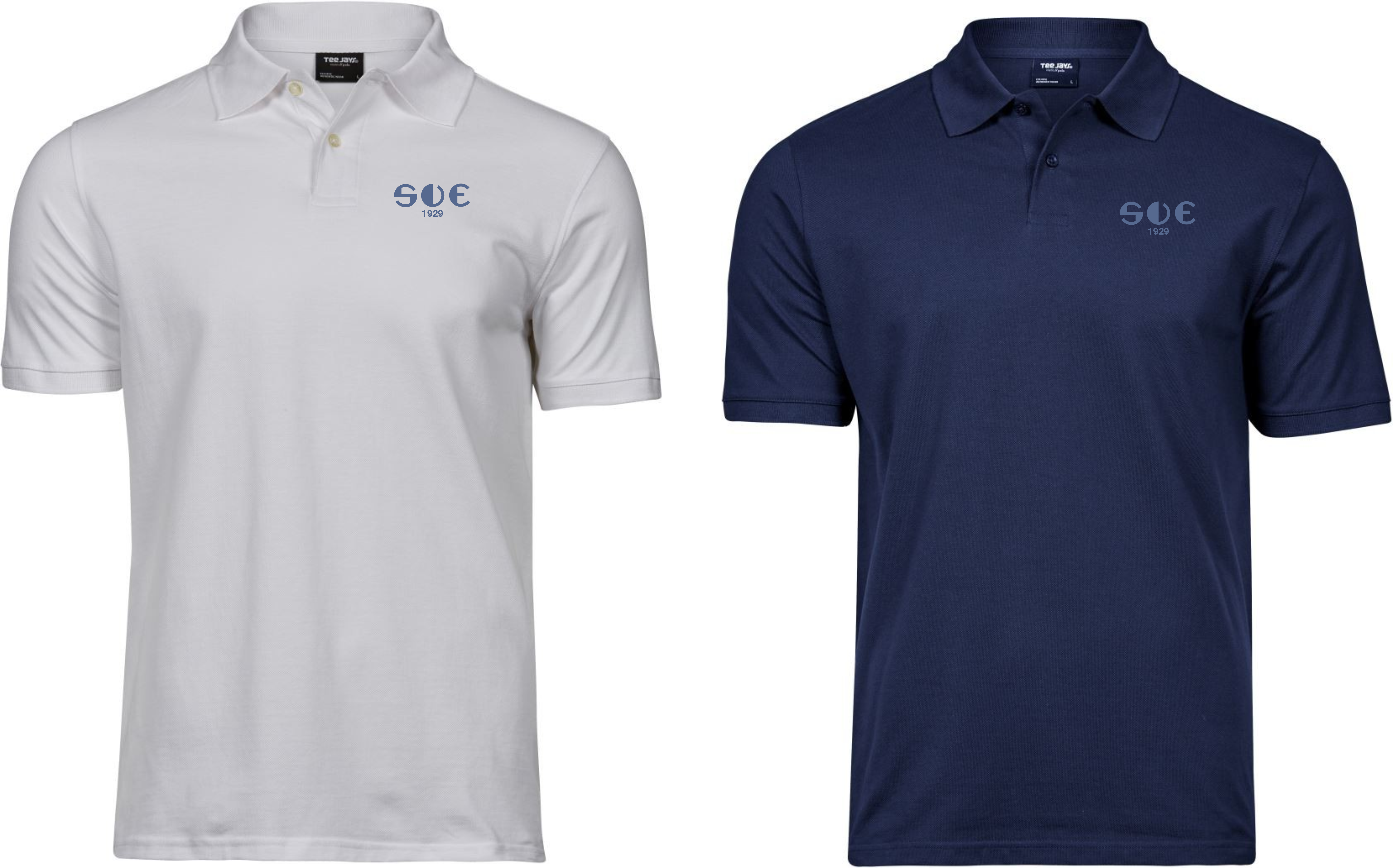  Artikelbild 1 des Artikels “SV Eußenheim Polo “
